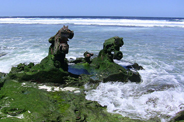 火奴魯魯港口查詢_honolulu,hi港口代碼_美屬太平洋群島火奴魯魯港口代碼