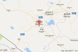 布哈拉港口查詢_bukhara港口代碼_烏茲別克斯坦布哈拉港口代碼