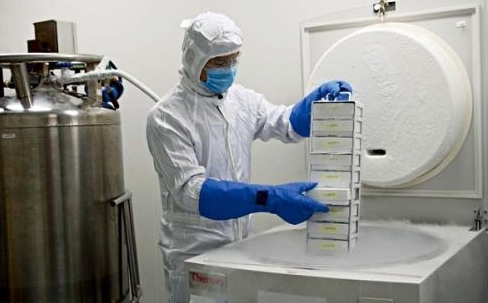 樣品轉移 樣品轉移