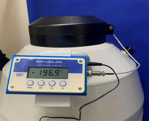 bmt 傳感器 bmt 傳感器